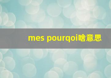 mes pourqoi啥意思